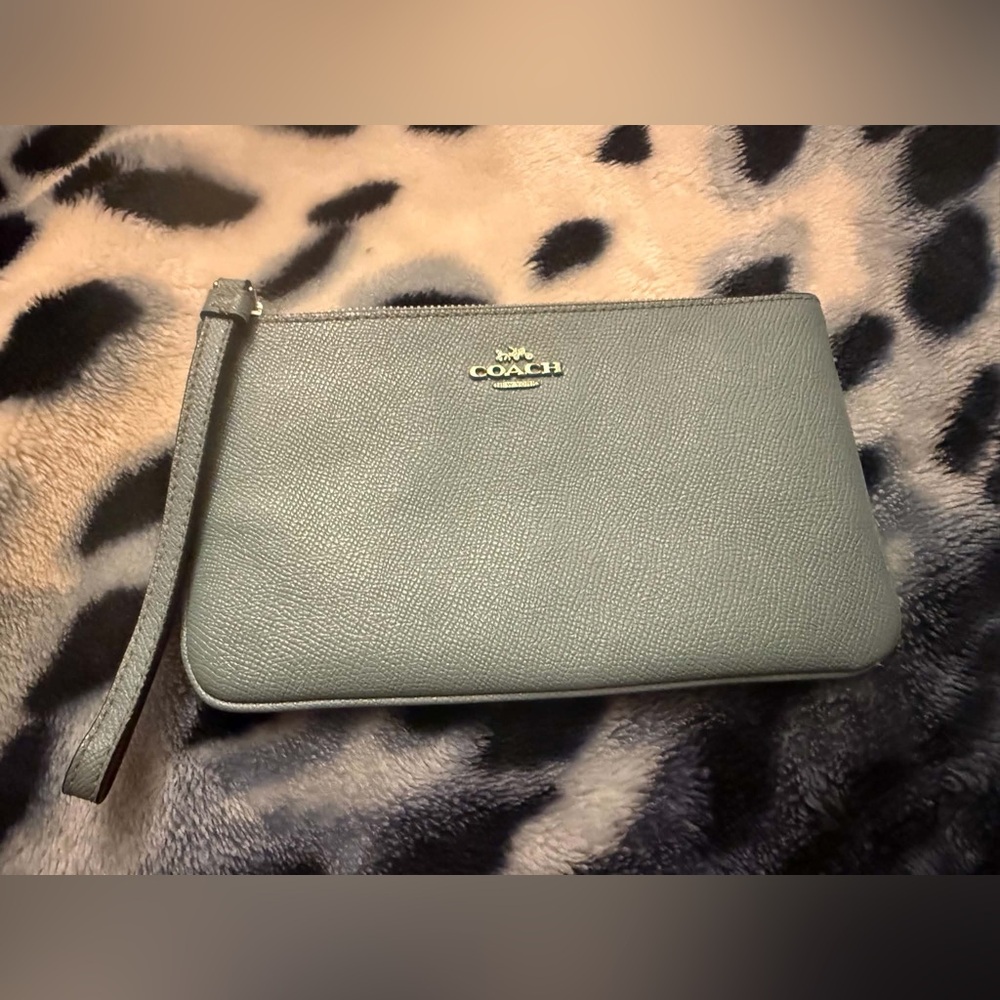 Coach Leather Wristlet in Blue